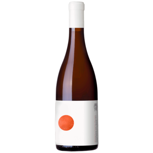 Morgado do Quintão Ânfora Branco 2023