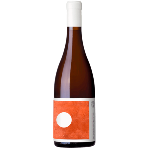 Morgado do Quintão Ânfora Tinto 2022